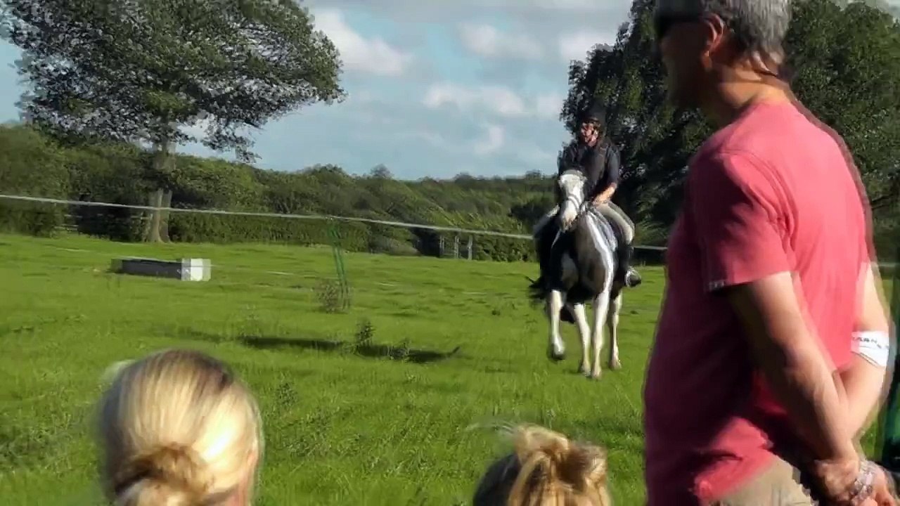 a typical 'competition' showjumping round for taffy