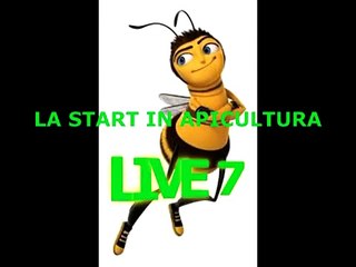 LA START IN APICULTURA -INVITATIE LIVE 7-  Un profesor din Banatul Sarbesc