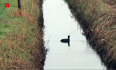 Descargar video: Maak kennis met de regio Amersfoort-Eemland