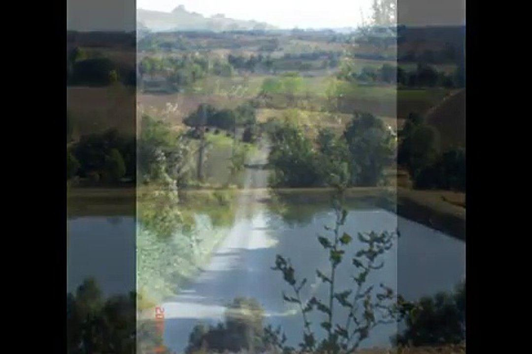 Laissons entrer le soleil .. //  Julien Clerc