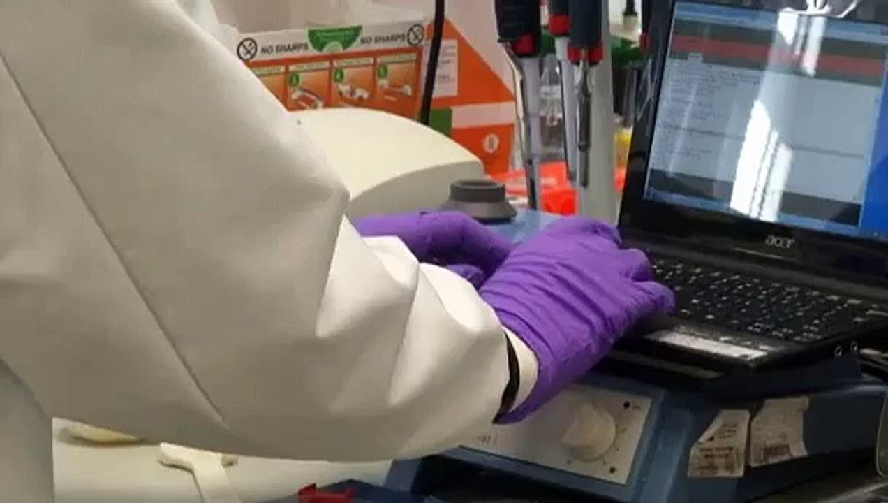 Future organ production a possibility with 3D stem cell printer