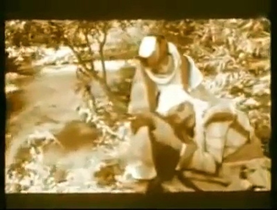 Seyda Perinçek - Ay Lê Lê Lê (Yarê)