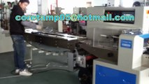 Automatic pens bagging packaging machine for US client