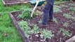 How to Prepare Raised Beds for Growing Vegetables