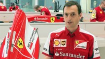 Ferrari, parla Adami: 