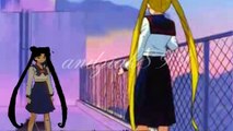 ♥ Sailor Moon Sacrifice ♥