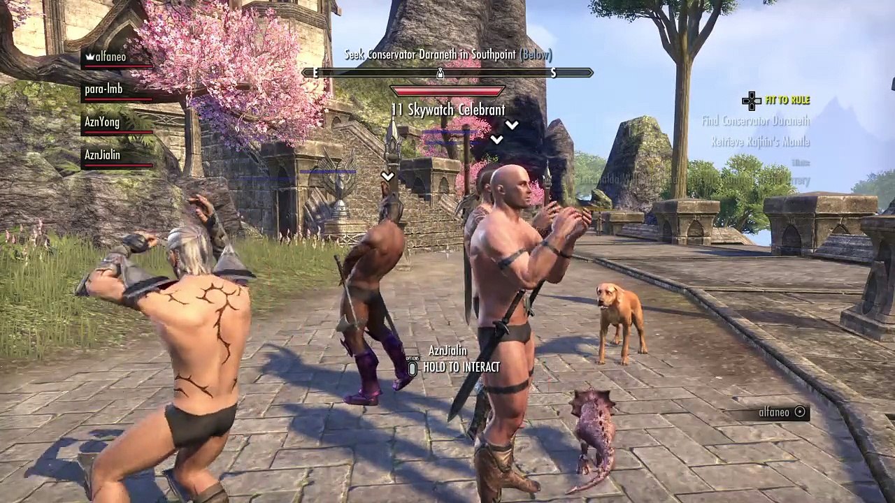 The Elder Scrolls Online:YMCA GAY SQUAD