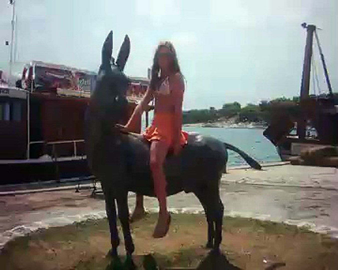 Donkeys' Race