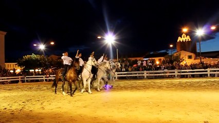 Féria du Cheval 2011 Camargue Les cavaliers voltigeurs de France Jean-Charles Andrieux