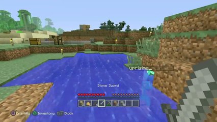 Minecraft: Trolling 12 year old
