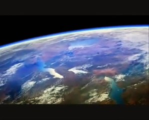 Extinção - Biodiversidade