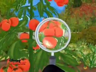 Gaspard & Lisa, Mystery of the Missing Tomatoes-US Ver