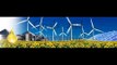 I.R.E.O - Intergovernmental Renewable Energy Organization - Sula Costa