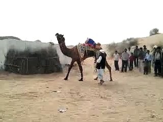 ###लोनdone@ कनाda@###+91-9680836616 love marriage specialist molvi ji