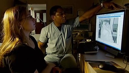 Understanding Dreams and Their Meaning 🌙