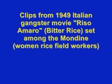 Mondine   Women ricefield workers  Riso Amaro