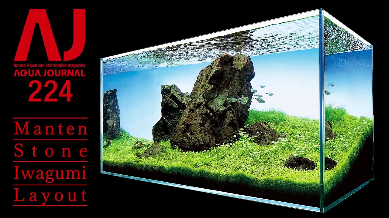 [ADA view] In Conjunction with AJ224  90cm Tank  Manten Stone Iwagumi Layout