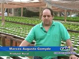 CATI - Revista Casa Agricultura - Cultivo Protegido - Hidroponia