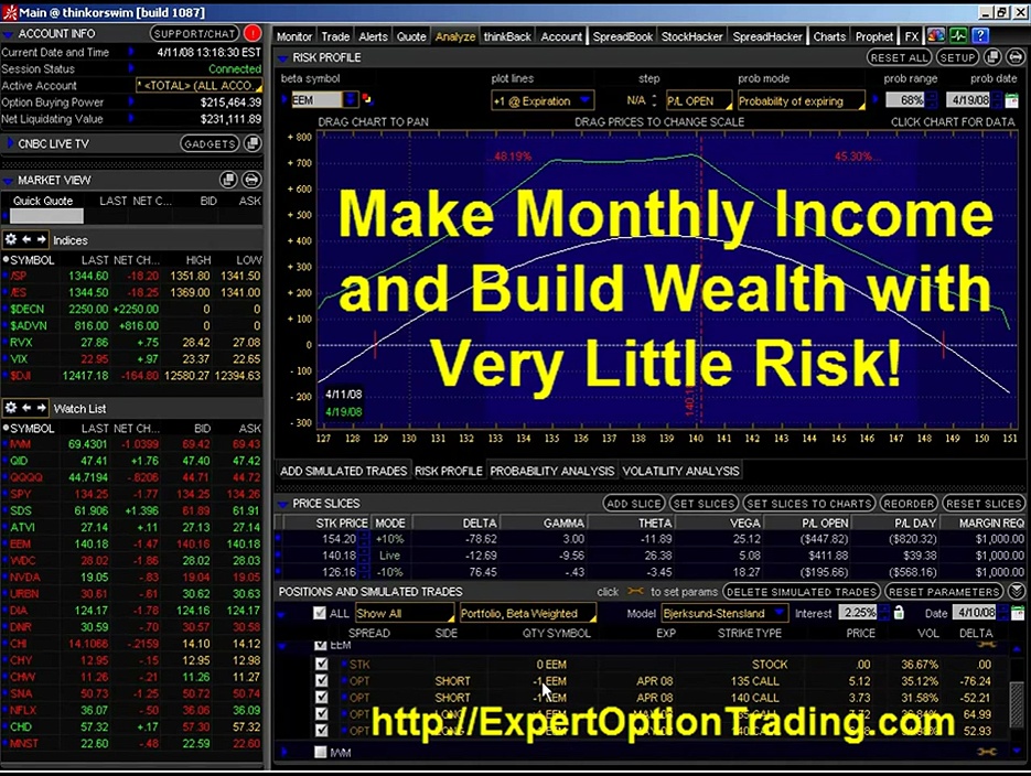 Option Trading: Earn a Living Trading Options – Preview Video