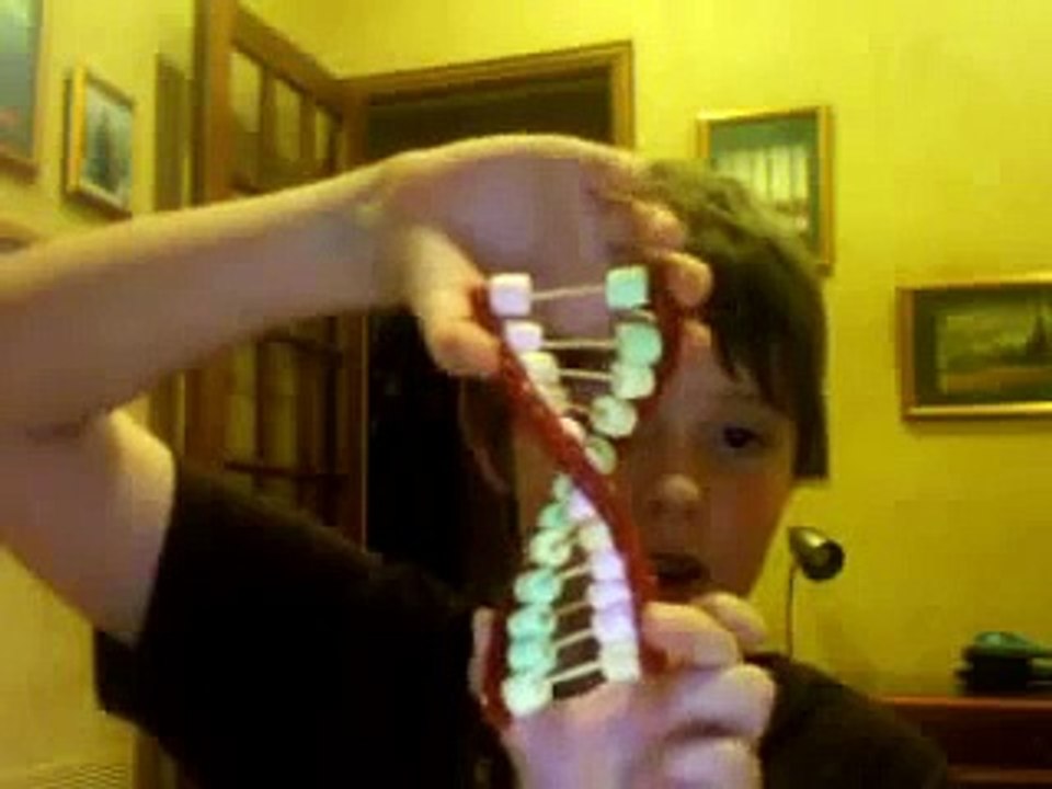 My DNA Model