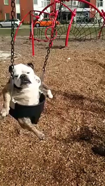 Awesome...Sundays be like......HD Video