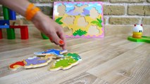 Dinosaur Dino Puzzle! Jigsaw Puzzle Cartoon Demo for Children & Kids! dinossauro para crianças ABC