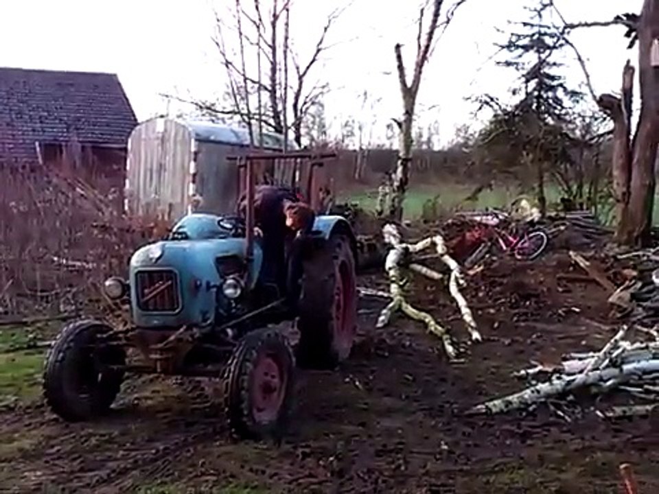 eicher königstiger em300