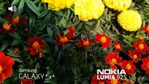 Galaxy S4 vs Lumia 925 - Camera Test Comparison