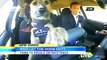 Dog Learns To Drive - Animal Rescue Shelter Teaches Dogs To Drive