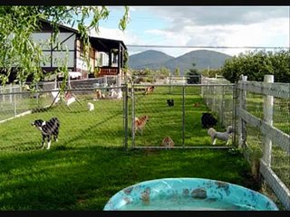 Canada, BC.- Okanagan - 5 acre Farm for sale by owner