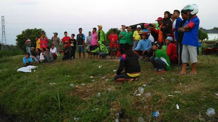 merpati balap lomba di DAU MALANG (TOTAL HADIAH 2 juta) 1