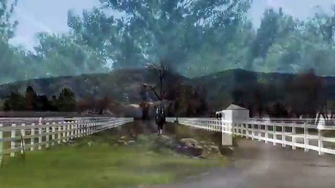 SOLD 3rd Level 17 h 8 Yr FEI Dressage Prospect for Sale -Serious Professional's Horse! $48,500