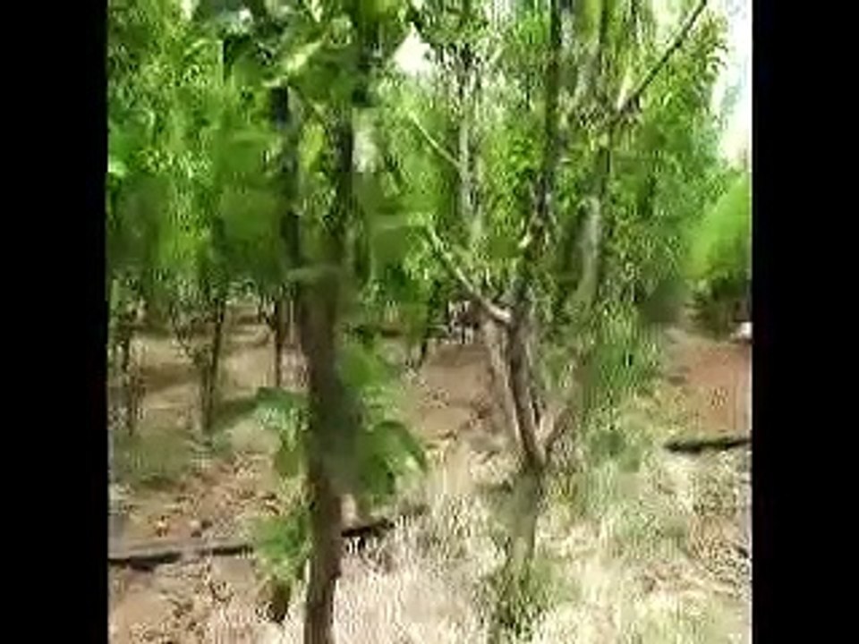 evren ilçesi tanıtım-2.mp4