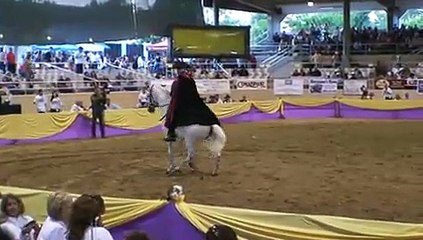 Vaughan Smith - High School - Fiesta of the Spanish Horse