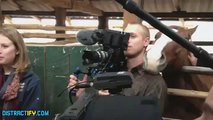 Horse Bites Cameraman's Ear