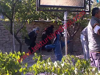 Tek türkiye Müzikleri Delaylon