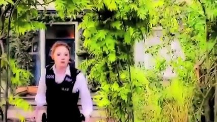 Doctor Who - The Companions