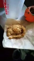 KFC serves ‘Fried Rat’ instead of Chicken wings