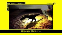 Augmented Reality Improvements PS4 (Dynamic Light on Hatsune Miku & T-Rex) - Tech Video