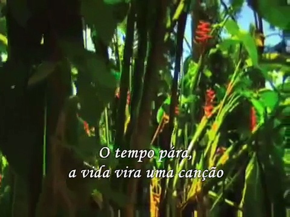 Fernanda Brum - Quando o amor toca o coração