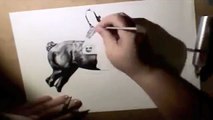 Horse speed drawing - CCMS graphite realism - Celle Stallion