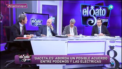 Podemos y las grandes compañias electricas podrian crear un bono social Carmena y Ada Colau podrian pactar con Endesa  14-06-2015