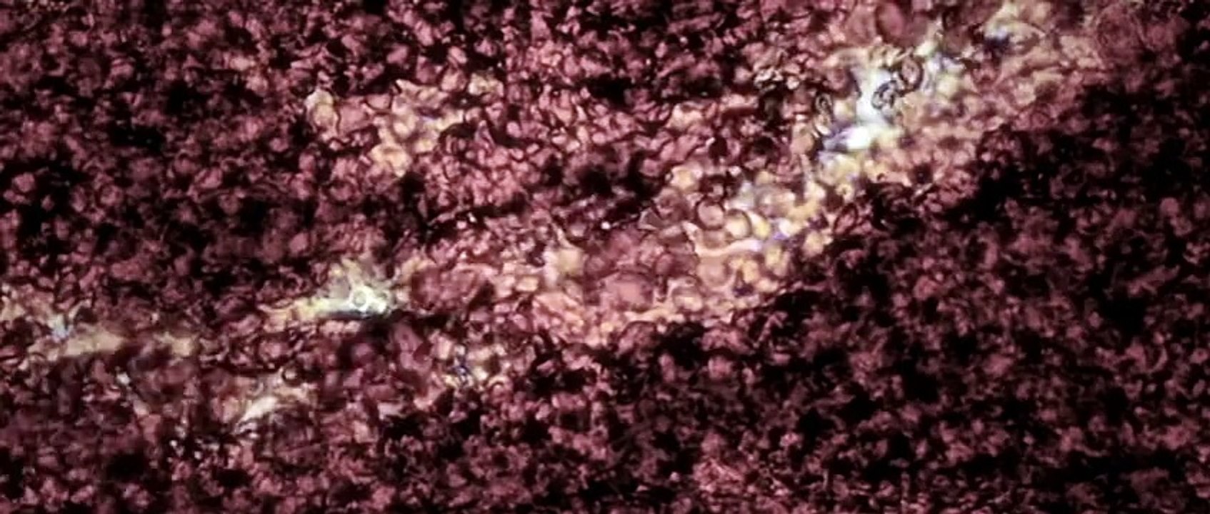 Closer to God Trailer #2