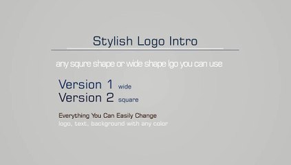 After Effects Project Files - Stylish Logo Intro - VideoHive 9308069