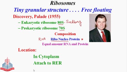 Detailed study of Ribosomes & Golgi Apparatus