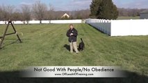 Private Seminar: Very Dominant Rottweiler in Maryland: Rottweiler Training Northern Virginia