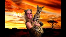 Savannah Cat TV - African Serval playing with dog