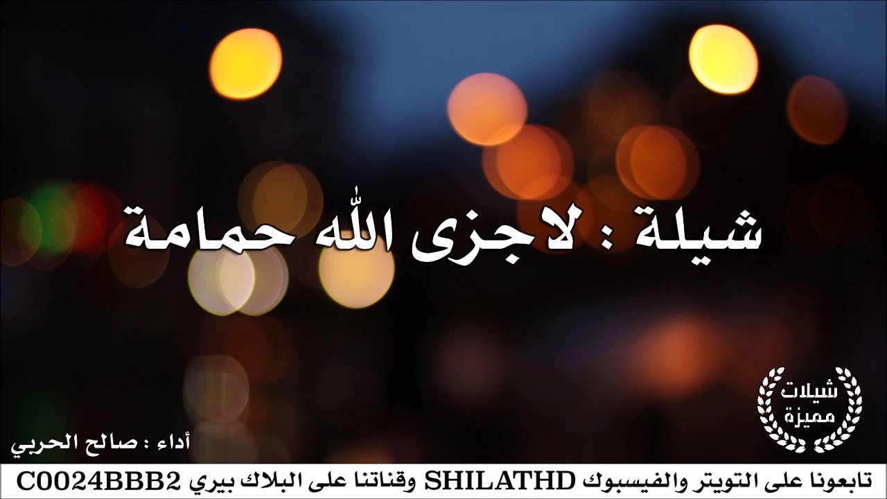شيلة : لاجزى الله حمامة - أداء صالح الحربي | أص...