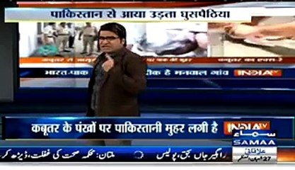 Pakistani spy pigeon funny indian parody - Video Dailymotion