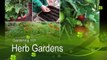 Herb Gardens: Gardening 101
